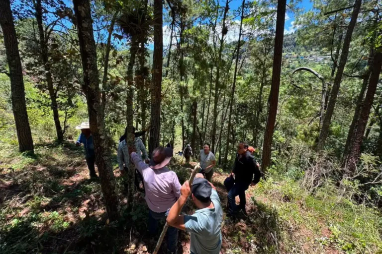Fortalecen protección de la Reserva Quenvó