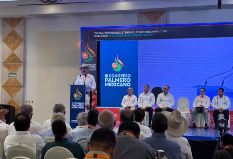 Propone Chiapas refinadora de aceite de palma para fortalecer al Sur-Sureste