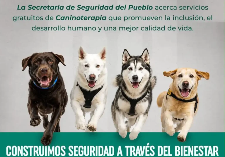 SSP fortalece el bienestar y la inclusión mediante la caninoterapia