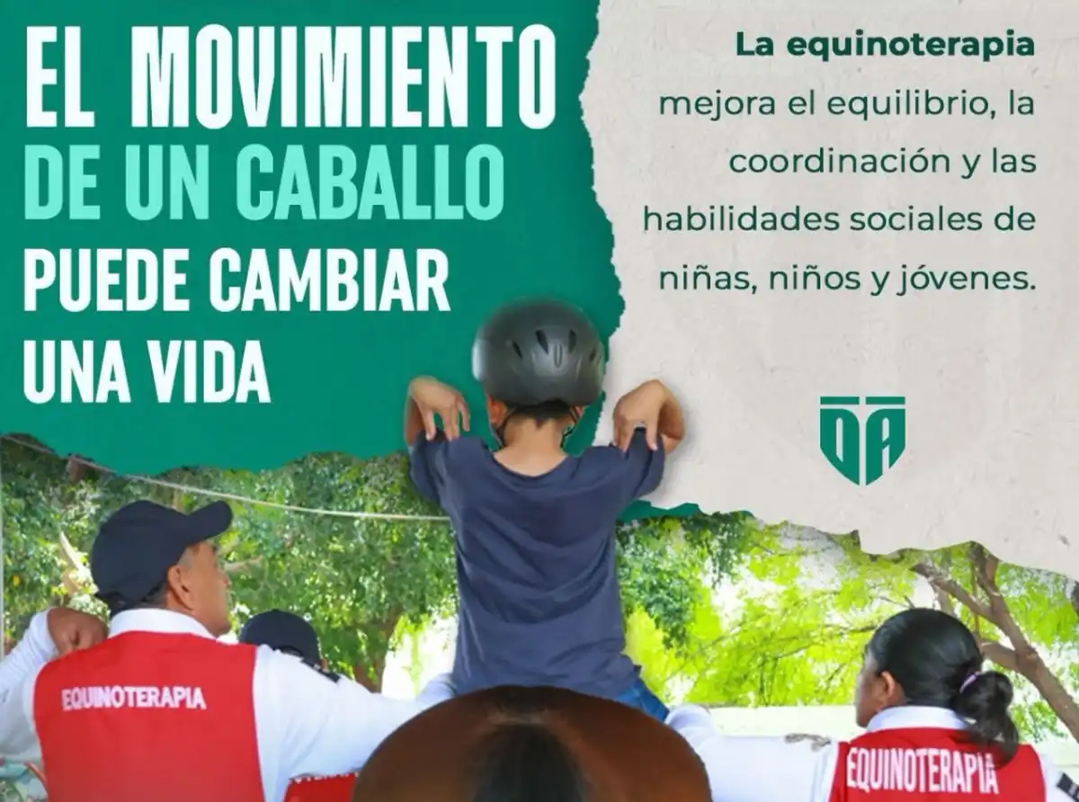 sspequinoterapia290626