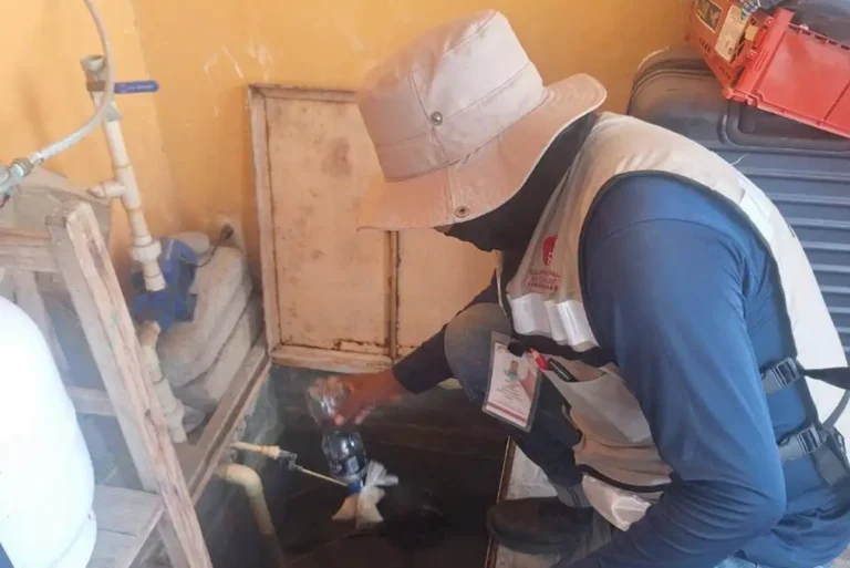 Avanzamos contra el dengue, zika y chinkungunya en Berriozábal