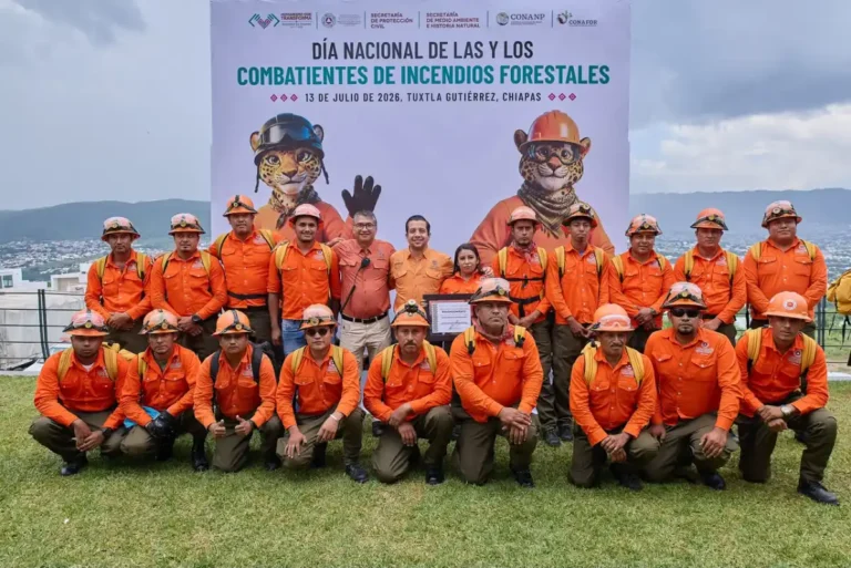 Chiapas continúa a la baja en superficie afectada por incendios forestales