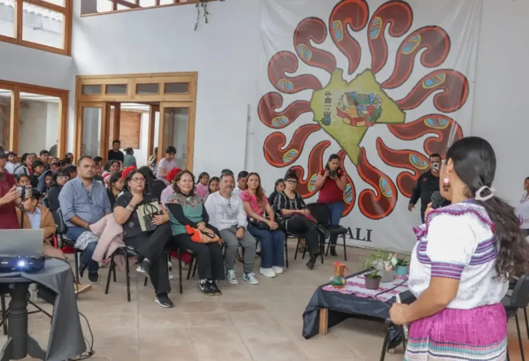 Impulsan en Chiapas la Fiesta Voces por la Paz: Ski’n jlumaltik