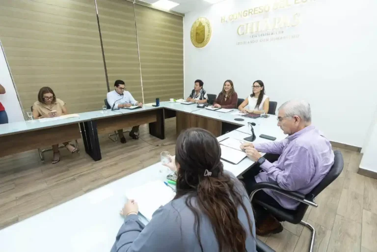 Analiza Congreso iniciativas en beneficio del derecho a la alimentación y el interés superior de la niñez