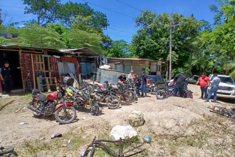 Grupo Interinstitucional ejecuta cateo por presuntos delitos de robo vehicular y contra la salud
