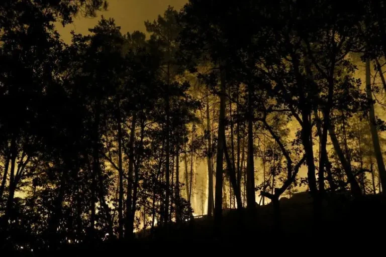 Incendio arrasa más de mil 300 hectáreas del bosque de Fontainebleau, cerca de París