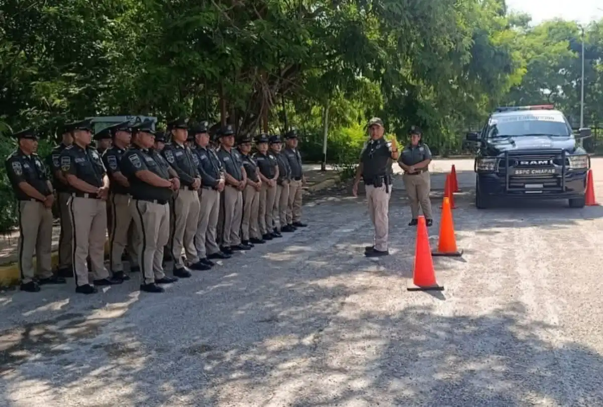 pofesionalizacionguardestatal060726