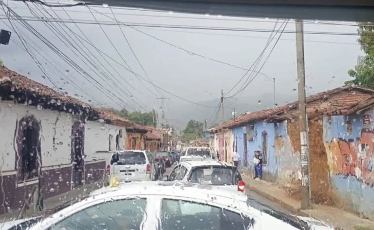 Ayuntamiento activa acciones preventivas