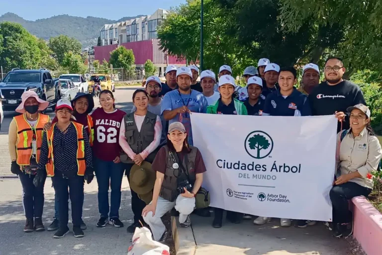 Concluye con éxito el Festival del Árbol