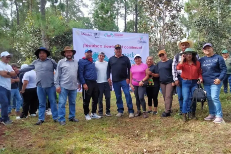 FGE se suma a la Jornada Nacional de Reforestación en SCLC, Bochil y Teopisca