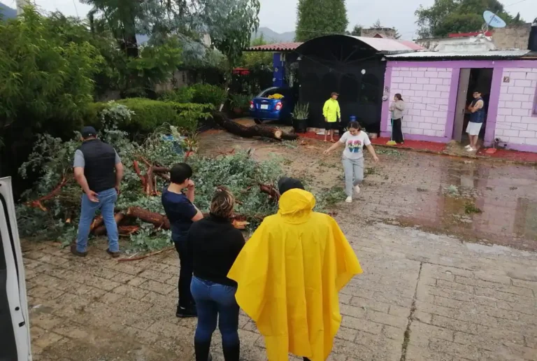 Se atiende en tiempo y forma contingencia por downburst