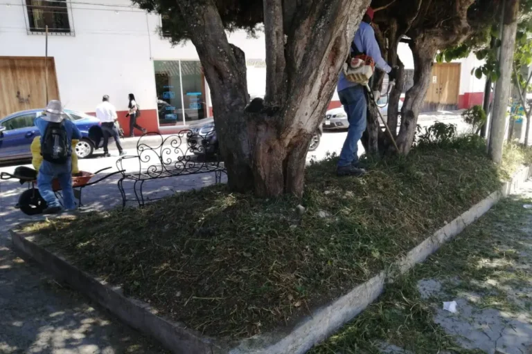 Ecología Municipal fortalece el mantenimiento del Centro Histórico