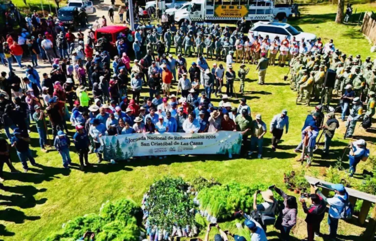 San Cristóbal se consolida como líder estatal en reforestación