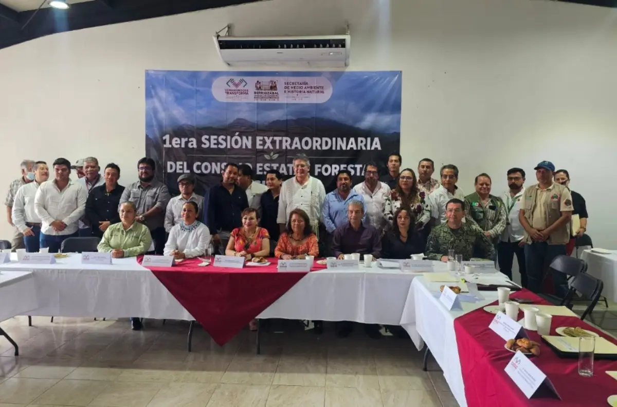 fgecomiteforestal290926