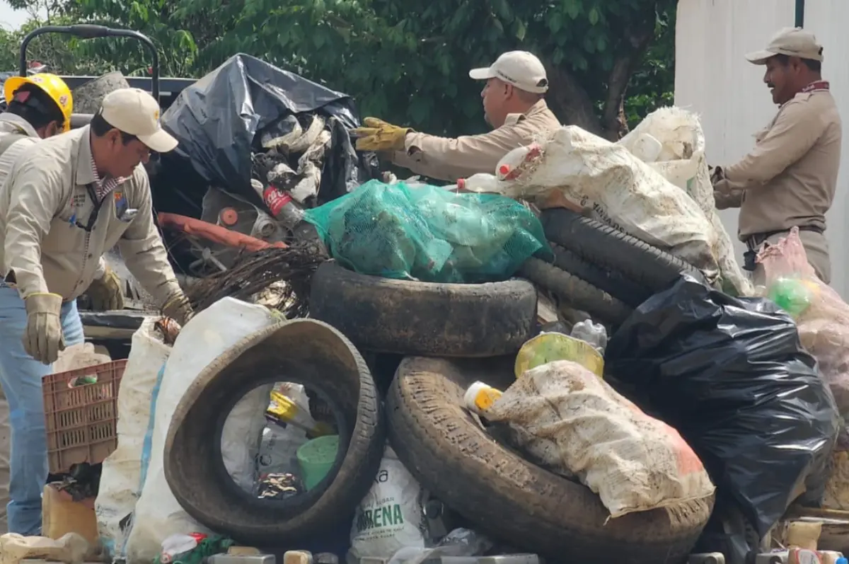saludcontramosquitos240926
