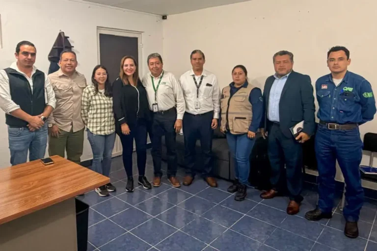 Fabiola Ricci impulsa ante CFE proyecto de infraestructura eléctrica para Los Altos